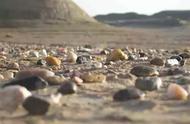 新疆的宝玉石种类数量是多少？