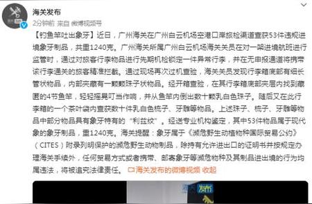 广州海关成功查获违规象牙制品，藏在钓鱼竿中