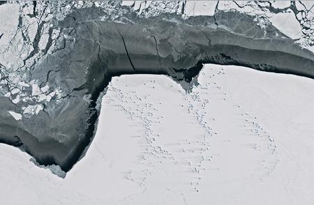 翡翠色的秘密：南极东部的神秘冰山