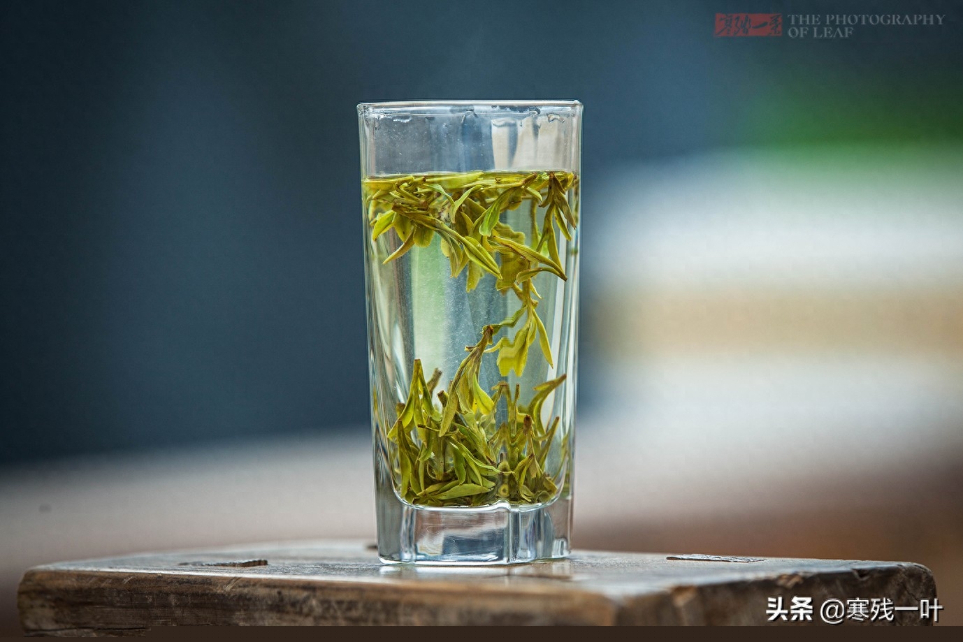 这才是真正的西湖龙井，与景区买的龙井茶价格相差很多，别被骗了